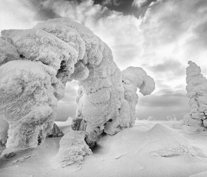 Ricoperti dal ghiaccio gli alberi perdono il loro aspetto abituale e si trasformano in fantastiche creature mitologiche